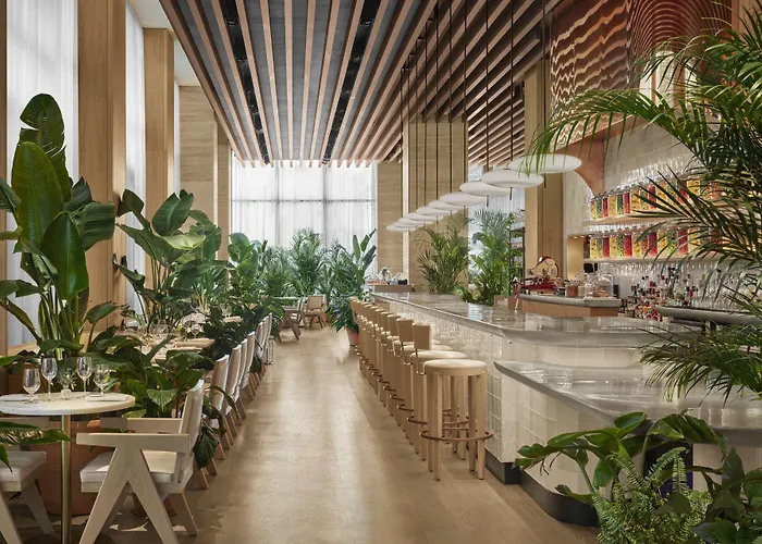 The Tampa Edition